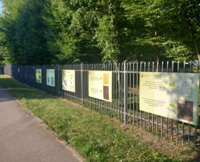 Wystawa plenerowa Biblioteka wczoraj – dziś - jutro