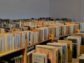 Biblioteka beletrystyczna w GUS