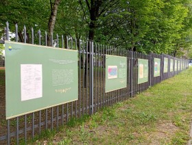 Wystawa plenerowa