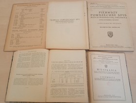 Opracownia S. Szulca dotyczące spisów ludności