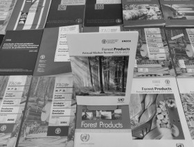 Forest Products Annual Market Review w zbiorach CBS