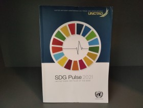 SDG Pulse 2021 w zbiorach CBS